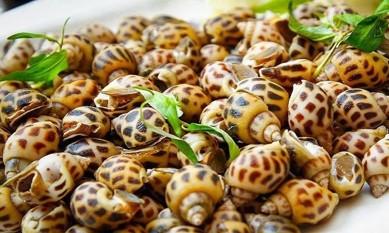 8 quán ốc ngon khiến thực khách say mê tại Phú Quốc
