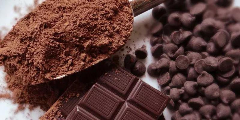 Cacao và sô cô la có gì khác biệt?