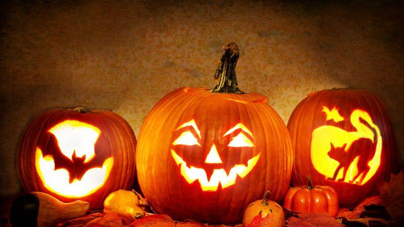 Hãy gửi những lời chúc Halloween độc đáo và ý nghĩa nhất đến tất cả mọi người, làm cho không khí lễ hội thêm phần ấm áp và vui vẻ.