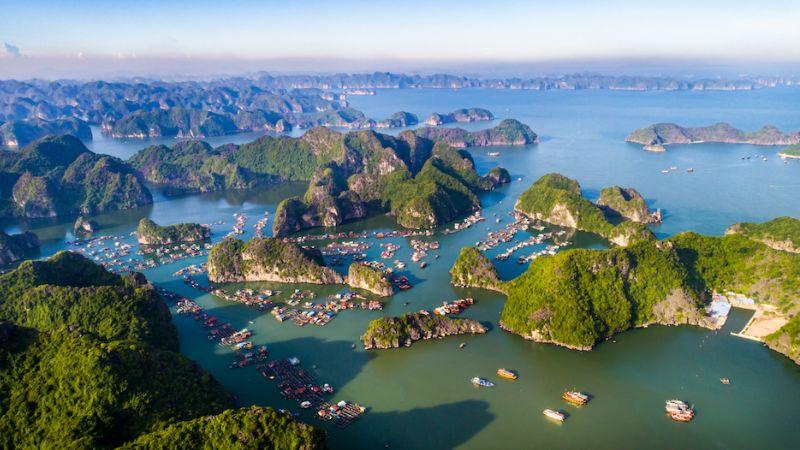 Khám Phá Top 10 Đặc Sản Ngon Nhất Cát Bà: Những Món Ăn Không Thể Bỏ Lỡ Và Quà Tặng Đặc Sắc