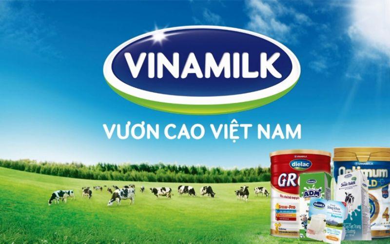 Khám phá ngay 8 hương vị kem Vinamilk, ngọt ngào và tươi mới, mang lại cảm giác sảng khoái khó quên.
