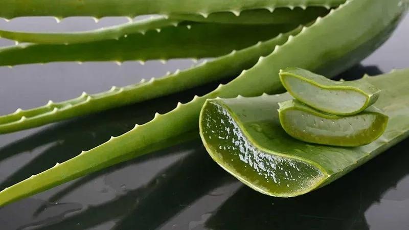 Khám phá 12 mẹo chữa bọng mắt hiệu quả ngay tại nhà với những nguyên liệu dễ tìm.
