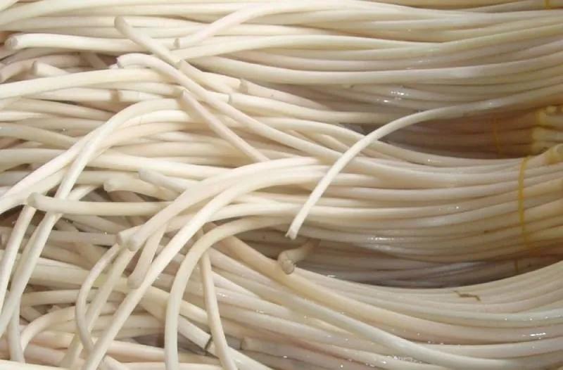 Ngó sen là gì? Những tác dụng tuyệt vời của ngó sen đối với sức khoẻ