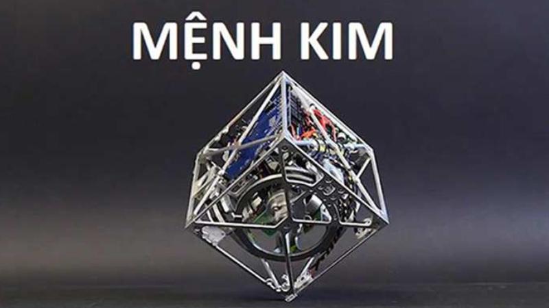 Người mệnh Kim nên lựa chọn cây nào để thu hút vận may và mang lại ý nghĩa phong thủy tốt đẹp?