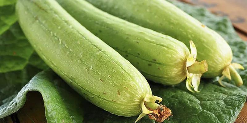 Ít ai biết rằng quả mướp mang lại nhiều công dụng bất ngờ cho sức khỏe và sắc đẹp.