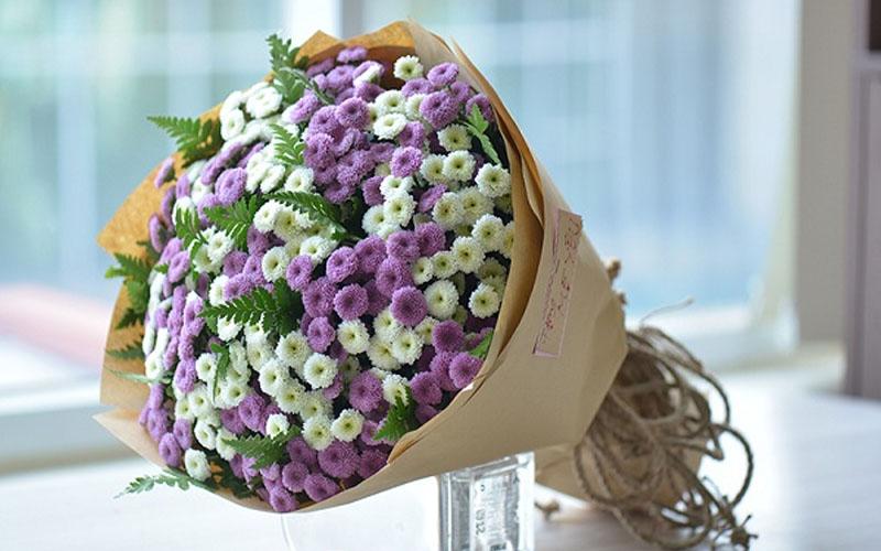 Hoa cúc Calimero là một loài hoa nổi bật với sắc màu đa dạng và vẻ đẹp dịu dàng, dễ thương. Loài hoa này không chỉ đẹp mà còn mang trong mình những thông điệp ý nghĩa sâu sắc, được thể hiện qua mỗi màu sắc đặc trưng của cánh hoa.