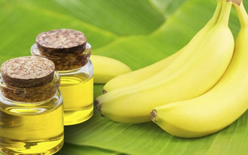 Dầu chuối là một sản phẩm tự nhiên với nhiều công dụng tuyệt vời cho sức khoẻ và sắc đẹp. Hãy cùng tìm hiểu về những tác dụng bất ngờ của loại dầu này.