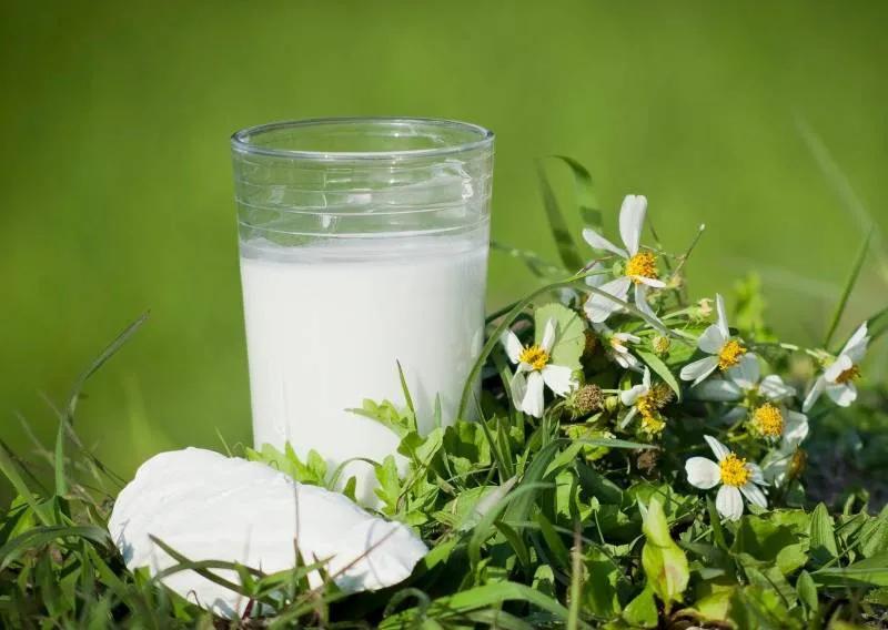 Liệu bột sắn dây nên được uống sống hay chín để mang lại hiệu quả sức khoẻ tốt nhất?