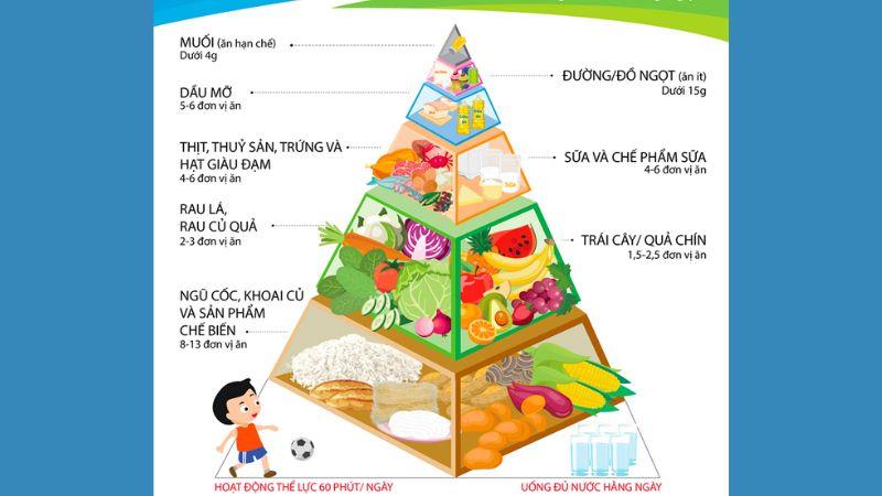 Tháp dinh dưỡng cho học sinh tiểu học từ 6 đến 11 tuổi bao gồm những nhóm thực phẩm nào?