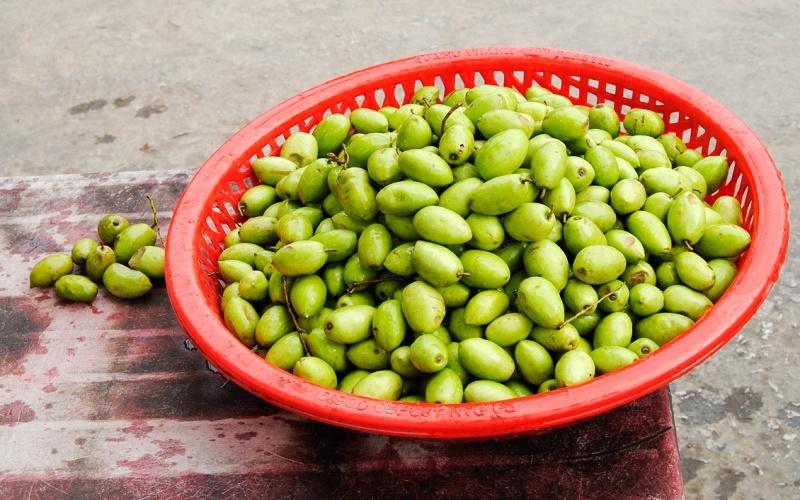 Cà na là loại trái cây quen thuộc, với vị chua nhẹ nhưng lại có nhiều công dụng bất ngờ. Bạn có bao giờ tự hỏi liệu ăn cà na có lợi cho sức khỏe không? Cùng khám phá 7 bài thuốc quý giá từ cà na để hiểu rõ hơn về tác dụng tuyệt vời của loại quả này.