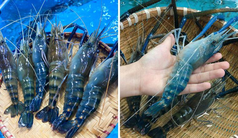 Tôm càng xanh là gì và giá trị thực sự của nó như thế nào? Làm sao để nhận biết tôm càng xanh tươi ngon và lựa chọn đúng cách? Hãy cùng khám phá thông tin chi tiết về loại tôm này trong bài viết dưới đây.