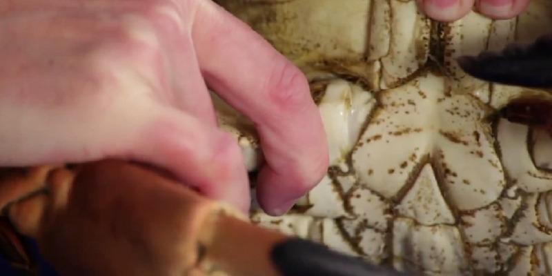 Bí quyết tách thịt cua nhanh chóng và dễ dàng