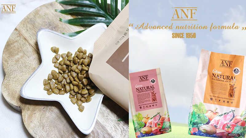 Thức ăn cho mèo ANF đến từ đâu và có thực sự tốt?