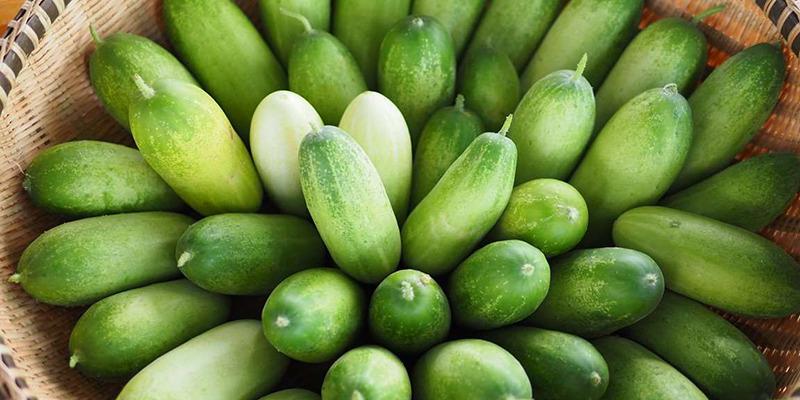 Những điều cần tránh khi ăn dưa leo