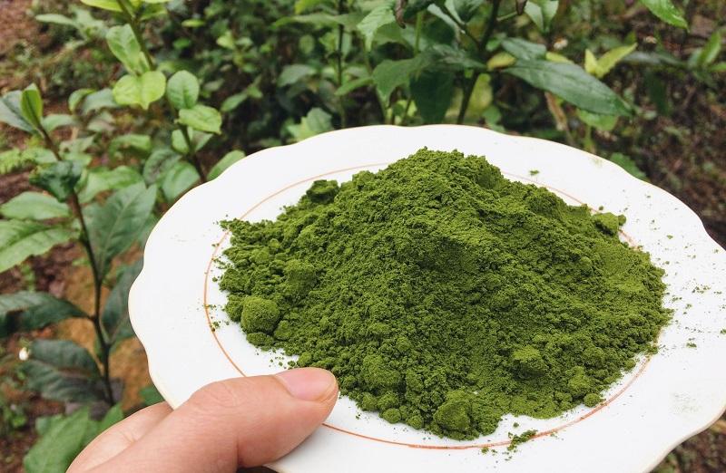 Bột matcha và bột trà xanh có giống nhau không? Và cách sử dụng chúng hiệu quả là gì?