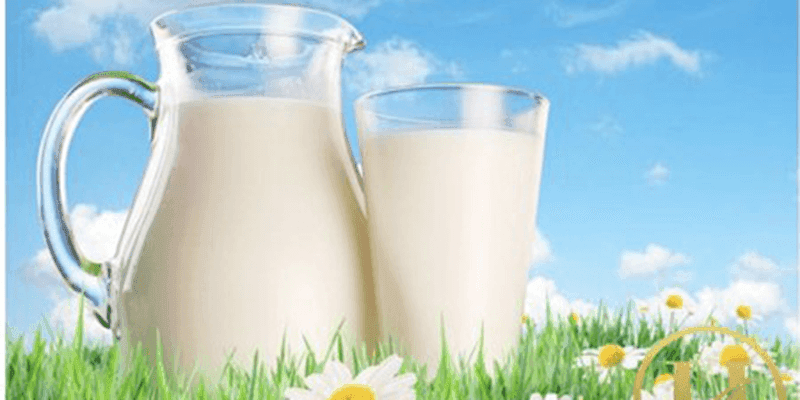 Giảm cân hiệu quả với sữa tươi không đường
