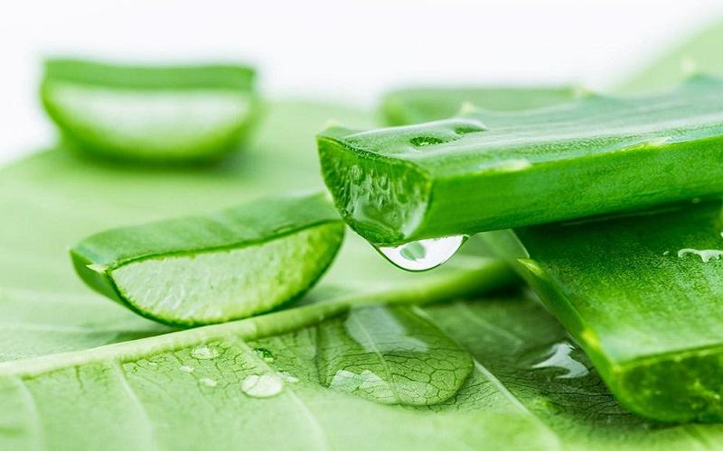 Khám phá 6 phương pháp tự chế serum dưỡng da đơn giản và hiệu quả tại nhà