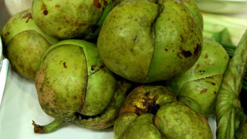 Trái sổ là một đặc sản ít người biết đến của Tây Bắc, với hương vị chua ngọt đặc trưng, quả này không chỉ nổi bật về hương vị mà còn gắn liền với những câu chuyện và văn hóa của vùng núi phía Bắc.