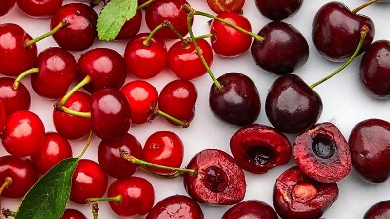 Cherry có thể được bảo quản trong bao lâu? Những cách thức lưu trữ Cherry tươi lâu tại nhà