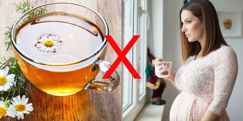 Những ai cần tránh uống trà hoa cúc?