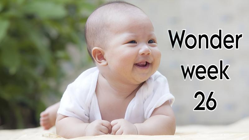 Wonder week 26 là giai đoạn đánh dấu những bước chuyển mình rõ rệt của bé. Đây là lúc bé sẽ trải qua những thay đổi lớn về cả thể chất và nhận thức. Cùng khám phá những biểu hiện đặc trưng của bé trong tuần lễ đặc biệt này.