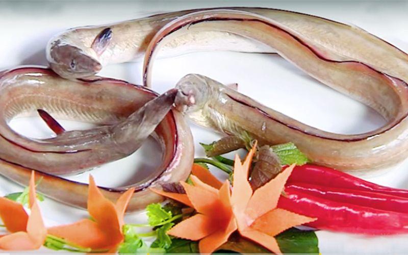 Khám phá món gỏi cá dưa thơm ngon nổi danh của làng biển xứ Thanh, một đặc sản tinh túy mà ai cũng phải thử khi đến đây.