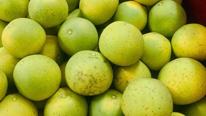Bưởi Đoan Hùng - Biểu tượng hương sắc của vùng đất Tổ, nổi bật với những đặc điểm đặc trưng không lẫn vào đâu được.