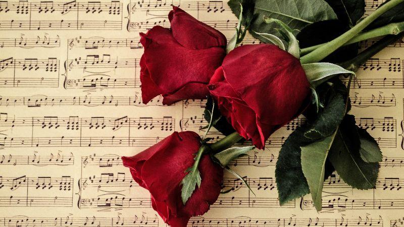 Hơn 20 lời chúc Valentine hay, sâu sắc và tràn đầy cảm xúc dành tặng bạn gái