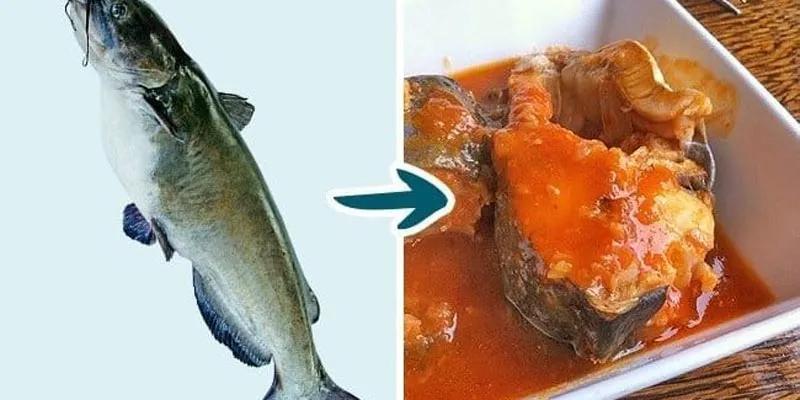 Các loại cá nào mẹ cần hạn chế cho con ăn?