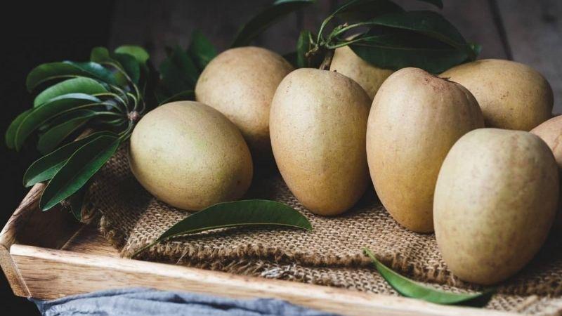 Bí quyết chọn sapoche ngon, tránh quả bị sượng hoặc chát