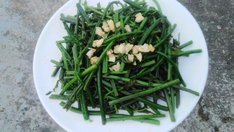 Bí quyết chế biến rau dớn xào tỏi, món ăn thơm ngon làm say lòng cả gia đình, với công thức cực kỳ đơn giản.