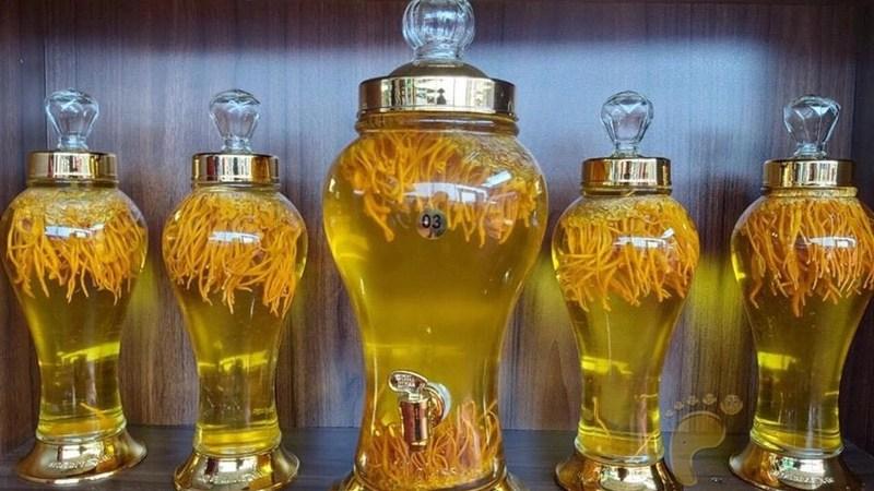 Khám phá tác dụng và phương pháp chế biến đông trùng hạ thảo ngâm rượu
