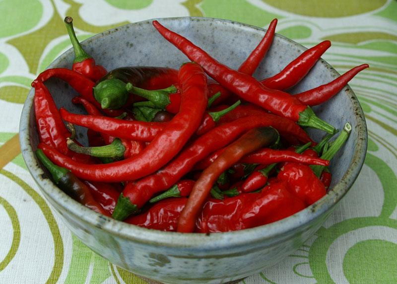 Những phương pháp sơ chế măng tươi giúp loại bỏ vị đắng, giữ nguyên độ giòn ngon
