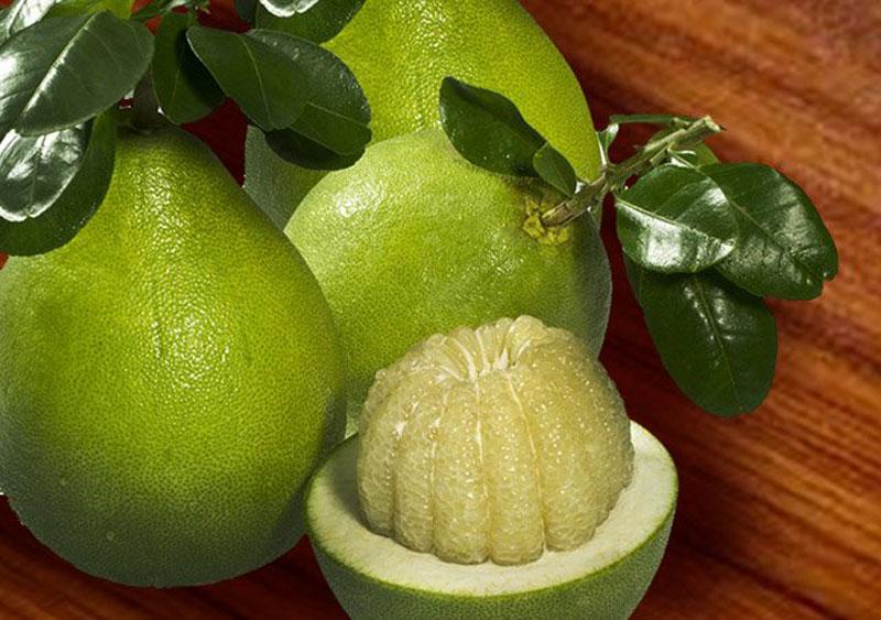 Khám phá bí quyết lựa chọn những quả bưởi tươi ngon để tận hưởng trọn vẹn hương vị và dưỡng chất. Bạn đã biết cách chọn bưởi chất lượng chưa? Hãy cùng tìm hiểu những yếu tố quan trọng để chọn được quả bưởi vừa ngon, vừa bổ dưỡng.
