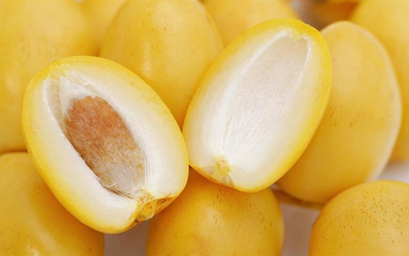 Quả chà là: Tinh túy thiên nhiên và lợi ích cho sức khỏe con người