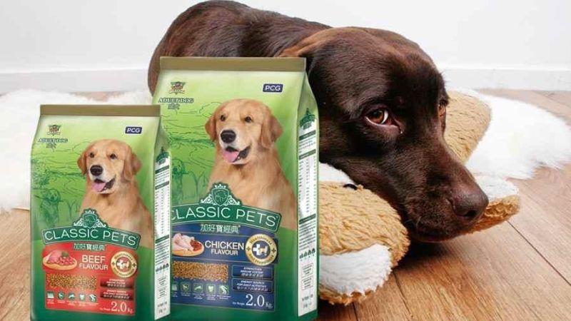 Top 3 loại hạt cho chó Classic Pet chất lượng vượt trội và giá cả hợp lý hiện nay