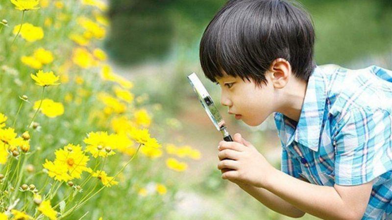 Con trai có thể thừa hưởng những đặc điểm thú vị từ mẹ, bạn đã biết chưa?
