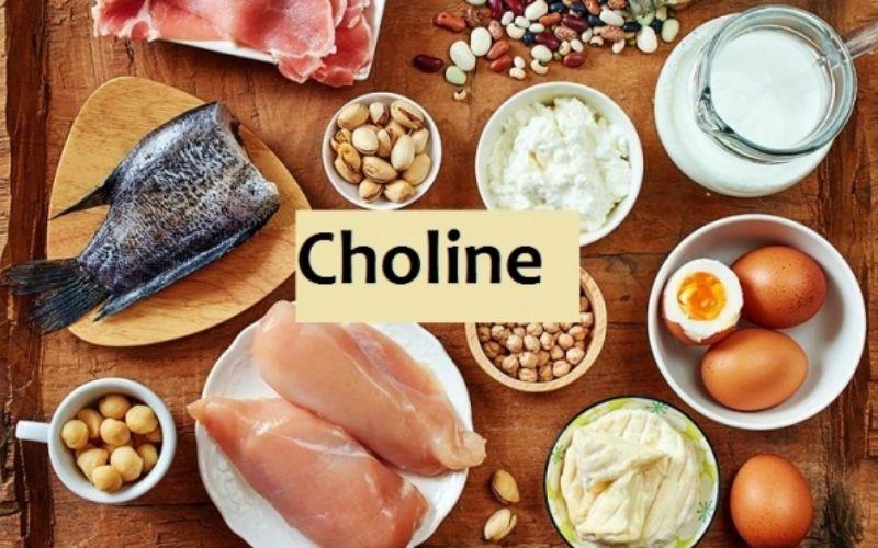 Choline là gì? Khám phá vai trò thiết yếu và nguồn thực phẩm giàu choline giúp cơ thể khỏe mạnh toàn diện