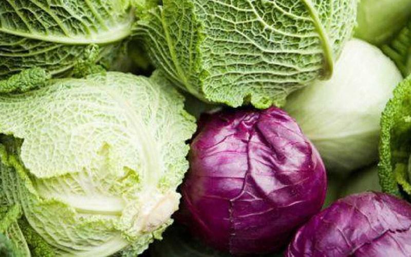 Bắp cải có bao nhiêu calo? Liệu bắp cải có thực sự hỗ trợ giảm cân hiệu quả không?
