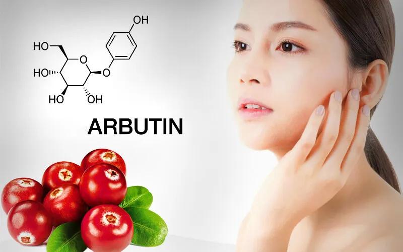 Arbutin là gì? Những kiến thức cần thiết về Arbutin và tác dụng của nó đối với làn da