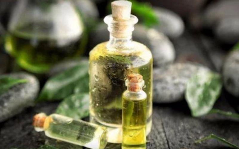 Tràm trà mang lại tác dụng gì khi sử dụng trong mỹ phẩm?