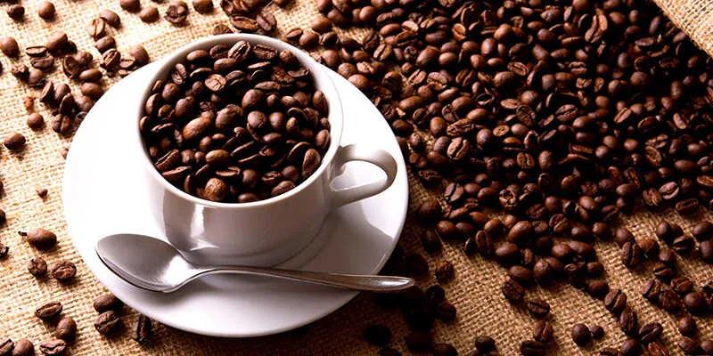 Liệu socola hoặc cacao có thể thay thế cà phê để duy trì sự tỉnh táo?