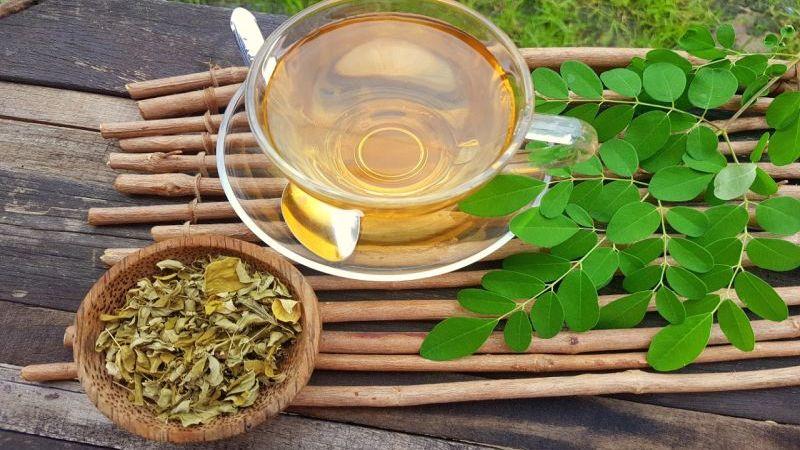 Khám phá công dụng tuyệt vời và cách pha trà chùm ngây để nâng cao thể trạng và sức khỏe toàn diện