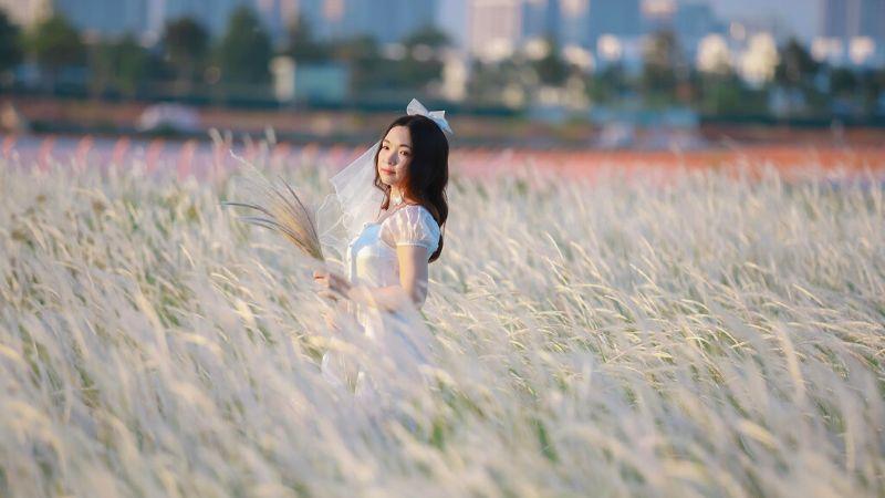 Ghé thăm những cánh đồng cỏ lau đẹp nao lòng khắp Việt Nam vào dịp cuối năm