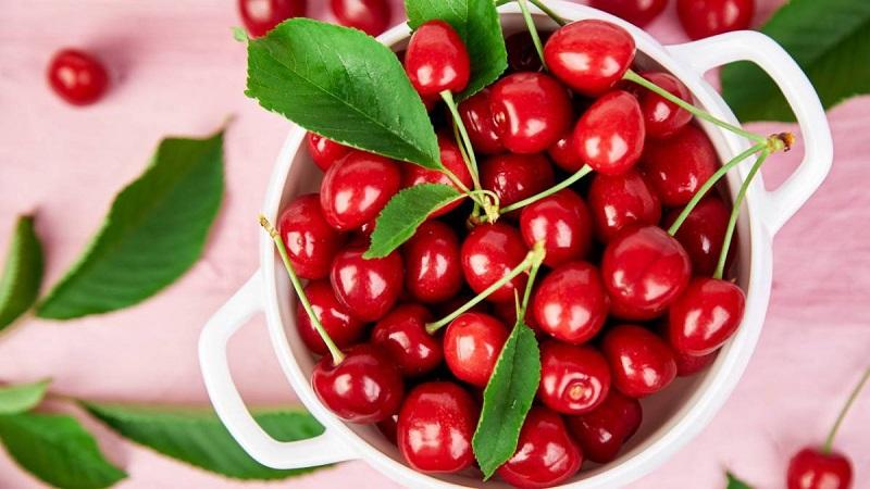 Bạn muốn tìm nơi mua Cherry nhập khẩu 100% chất lượng tại TP.HCM? Tripi chính là lựa chọn hoàn hảo với những trái Cherry tươi ngon, uy tín và giá cả hợp lý.