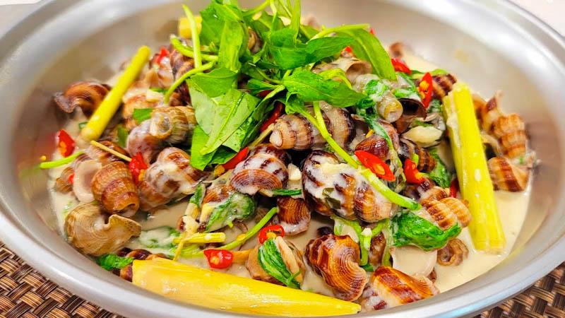 Hướng dẫn nấu món ốc hút nước cốt dừa thơm lừng, béo mịn chuẩn vị tại nhà