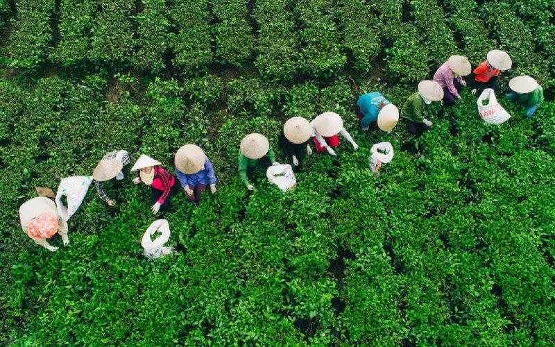 Thái Nguyên là mảnh đất giàu bản sắc, nơi du khách có thể khám phá 15 món đặc sản độc đáo, vừa thưởng thức ngay tại chỗ vừa dễ dàng mua về làm quà. Đừng bỏ lỡ cơ hội trải nghiệm những hương vị hấp dẫn khi ghé thăm vùng đất này.