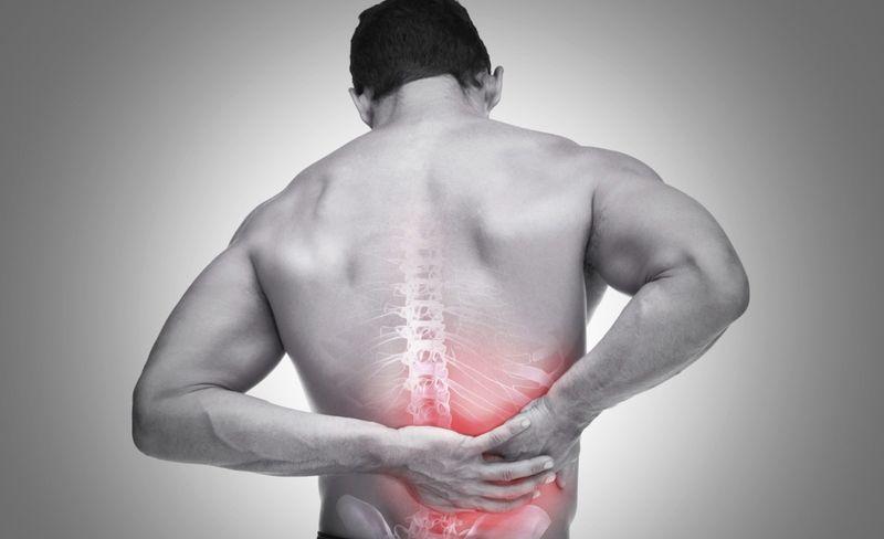 Khám phá lợi ích tuyệt vời của rau mồng tơi – bỏ lỡ là tiếc nuối!