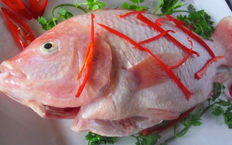 15 cách chế biến cá diêu hồng vừa ngon miệng lại dễ làm ngay tại nhà
