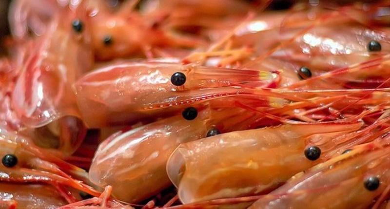 Những quan niệm sai lầm phổ biến khi ăn tôm mà bạn cần tránh